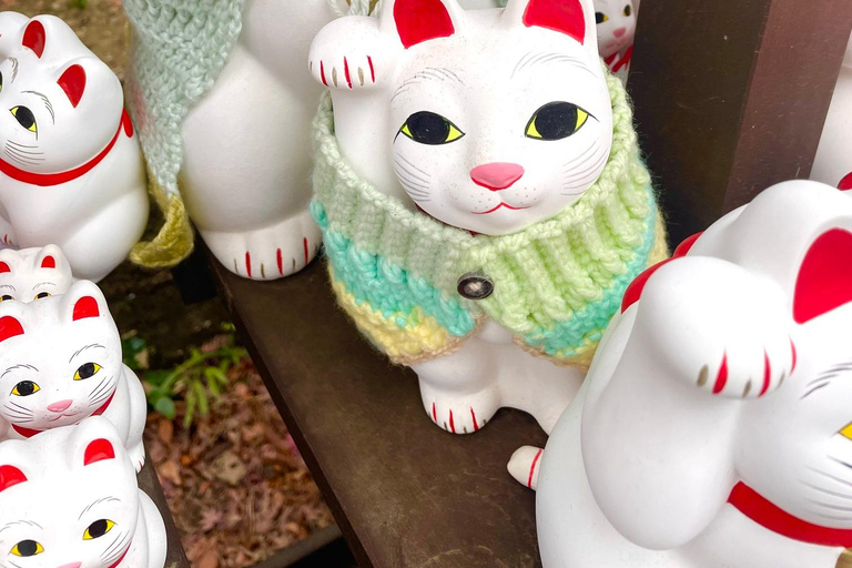Tokyo: Gotokuji Cat Temple, Shinjuku Cat Cafe & 3D Cat Tour