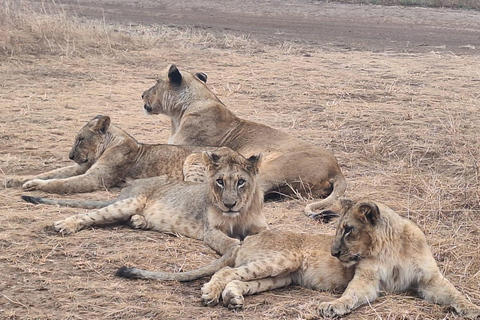 Nairobi NationalPark,Sheldrick Wildlife Trust&Giraffe Center