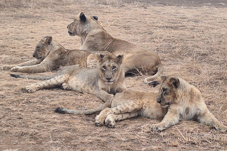 Parque Nacional de Nairobi, Sheldrick Wildlife Trust e Giraffe Center