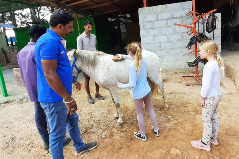 Best Horse Riding Safari Tour from Bangalore