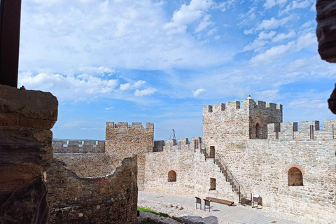 From Belgrade: Ram & Golubac Fortresses with Rakia Tasting