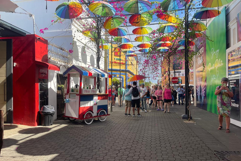 Puerto Plata: Cultural Tour & Ethical Monkey Observation