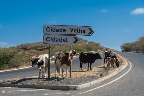 Prywatna wycieczka po Starym Mieście (Praia/Santiago)Wycieczka po Starym Mieście (Praia - Santiago)
