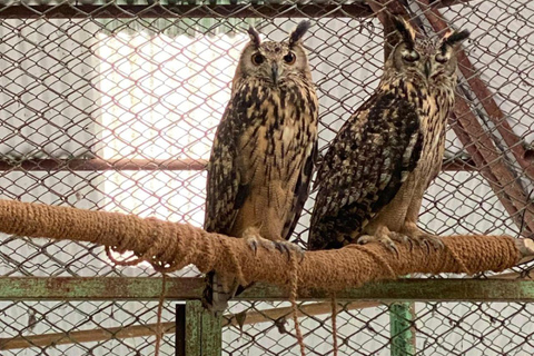 Pokhara:Zoological Park & Lake Suspension Bridge Guided Tour