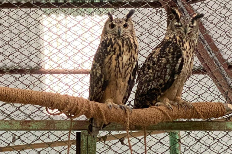 Pokhara:Zoological Park & Lake Suspension Bridge Guided Tour