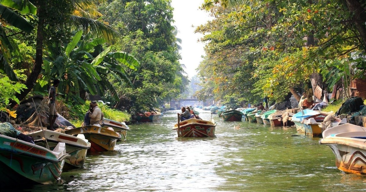 Colombo: Muthurajawela Wetland & Dutch Canal Boat Adventure | GetYourGuide