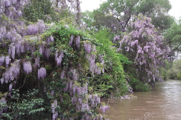 Tigre: Safari Delta Boat Tour in Tigre