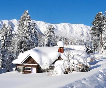 From Srinagar: Day Trip of Gulmarg with Local Guide