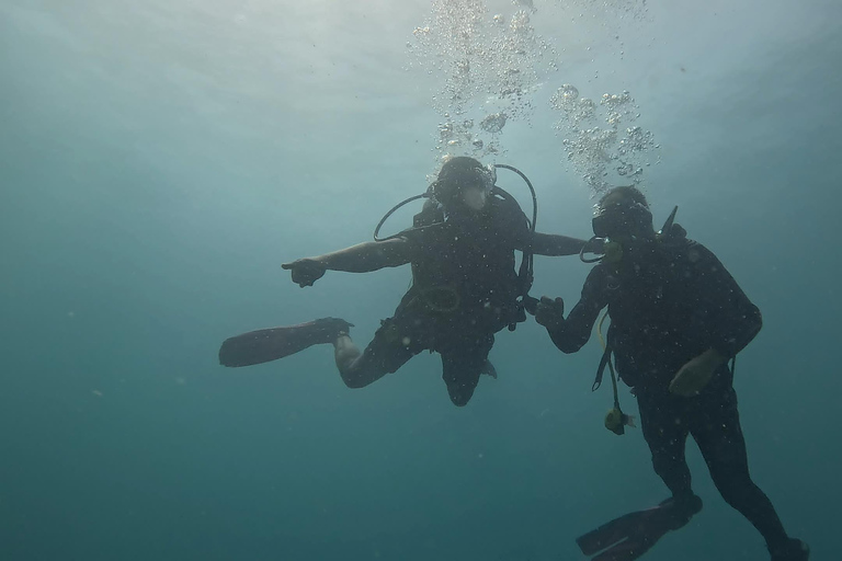 DAR ES SALAAM: CERTIFIED SCUBA DIVERS FUN TRIP