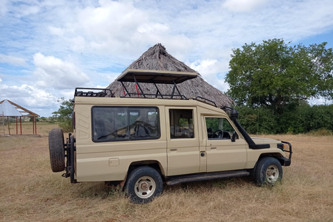 4-dagars södra Tanzania Udzungwa och Mikumi NP