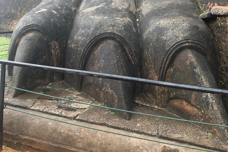 From Colombo: Dambulla, Sigiriya, and Jeep Safari Day Trip