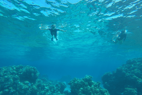 From Cancún: Isla Mujeres Snorkel & Spearfishing Escape