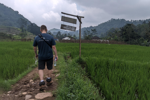 Bandung Countryside Tour: Waterfall, Rice Fields &amp; Culture