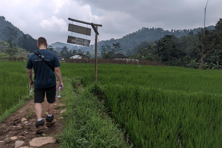 Bandung Countryside Tour: Waterfall, Rice Fields &amp; Culture