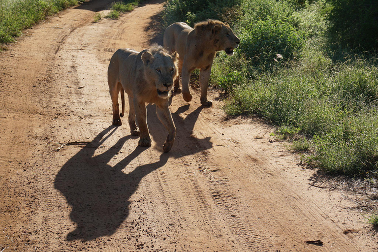 Tsavo East 2-Day Safari with Night Game Drive