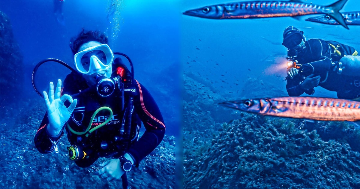 Immersioni Subacquee Della Barriera Corallina Immagini E Fotografie