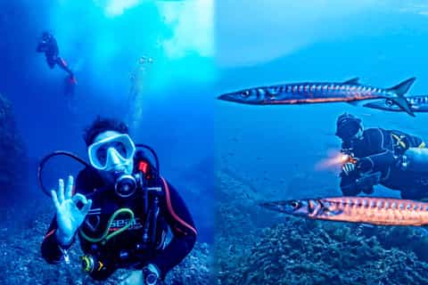 Mallorca: Scuba Dive Abenteuer Cap Formentor 2 Tauchplätze (nur mit Lizenz)