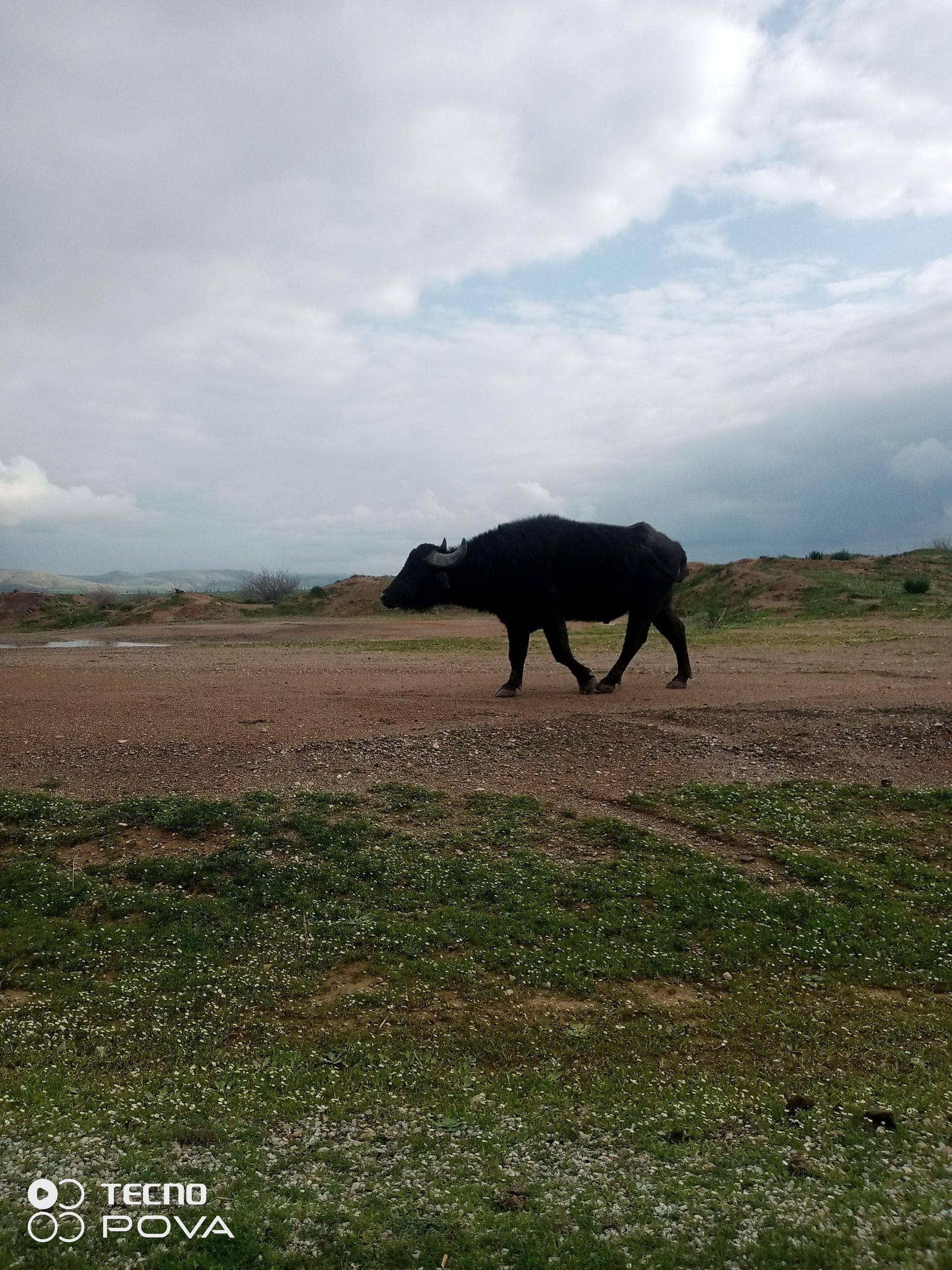 Utique, punisch-römische Stadt, Bizerte, Cap Angela und Naturschutzgebiet Ichkeul