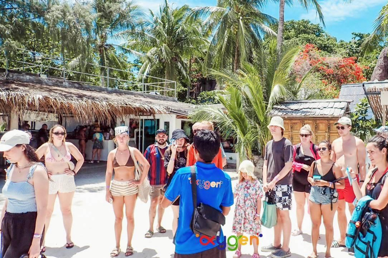 Koh Tao in a Day: Turtles, Hidden Reefs & Nangyuan Viewpoint