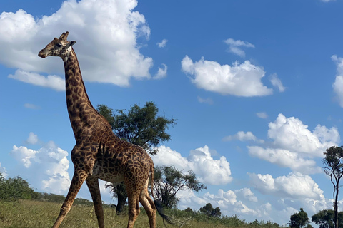 Nairobi: Quad Bike Wildlife Safari mit Transfers &amp; MahlzeitEinstündige Quad Bike Wildlife Safari mit Transfers &amp; Mahlzeit