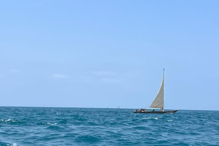 Zanzibar: prywatny rejs wycieczkowy z przewodnikiem na mieliźnie NyundoZanzibar: prywatny rejs wycieczkowy z przewodnikiem na ławicę piaskową Nyundo