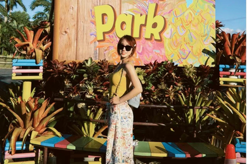 Okinawa: Nago Pineapple Park Ticket & Cart Ride