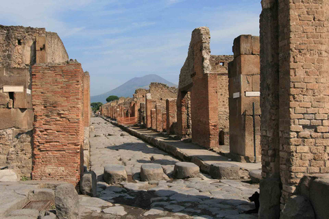 Från Neapel: Pompeji och vinprovningstur med lunch