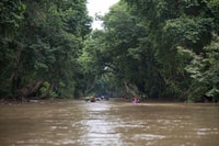 Berrang River Wildlife & Cultural comme une tournée - Housity