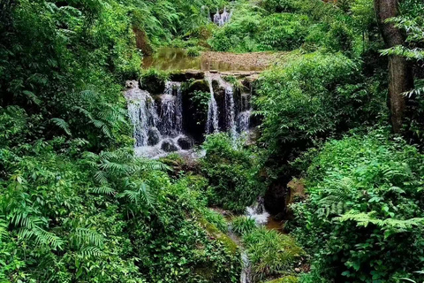 Chengdu: Dujiangyan Qingcheng Mountain Entry Tickets