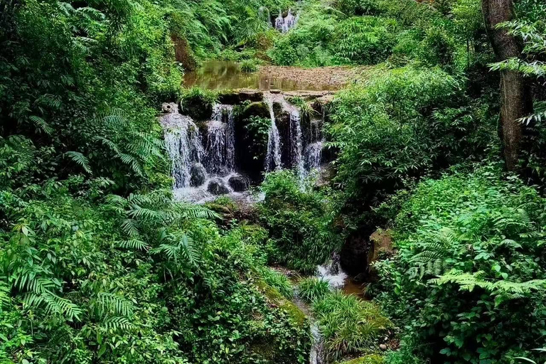 Chengdu: Dujiangyan Qingcheng Mountain Entry Tickets