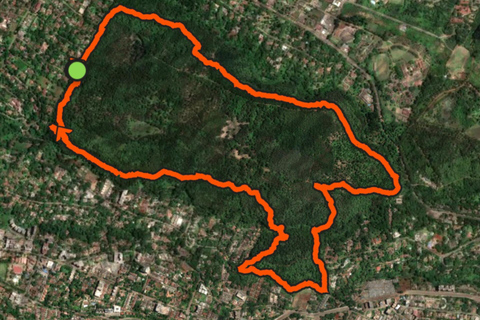 Nairobi: Karura Forest Guided Bike Tour or Walking tour
