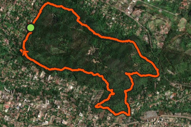 Nairobi: Karura Forest Guided Bike Tour or Walking tour