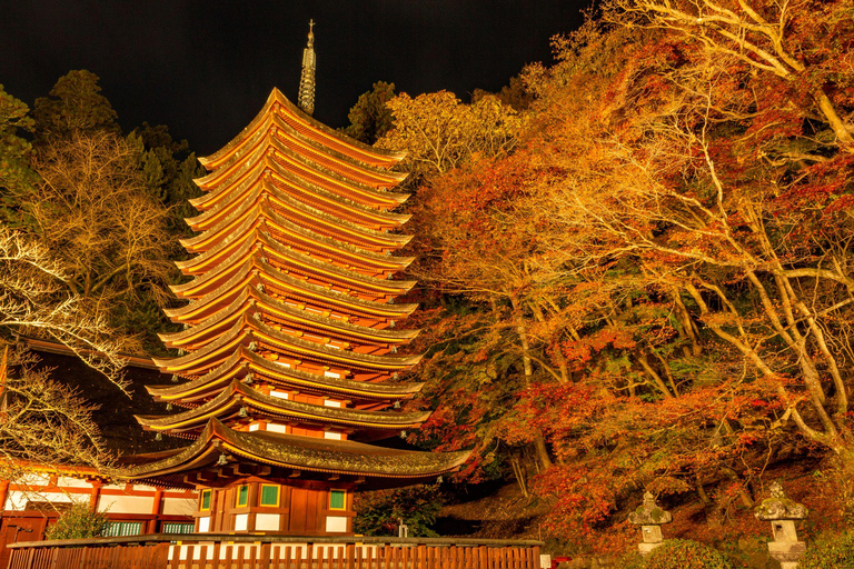 Osaka: Nara, Akame 48 Waterfalls & Tanzan Shrine Tour Shared Tour, Meet at Tsurutontan Soemoncho