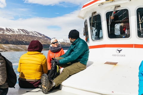 Akurey: tour clásico de avistamiento de ballenas de 3 horas