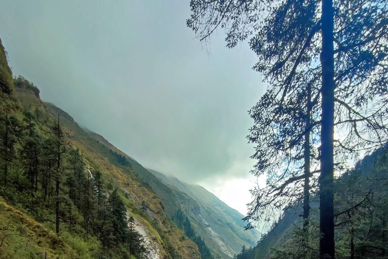Annapurna Base Camp (ABC) North 5-Day Trek: The Herzog Trail