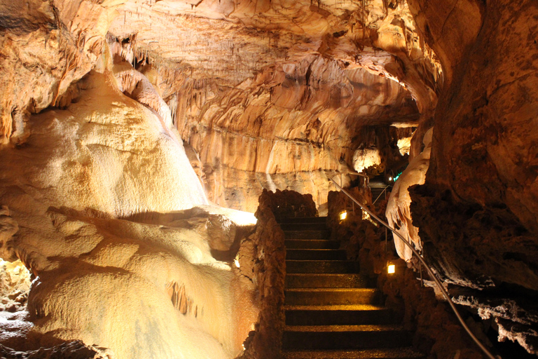 Lissabon: Dinosaurier-Fußabdrücke, Höhlen und Óbidos-TourTour für kleine Gruppen: Dinosaurierfußabdrücke, Höhlen und Óbidos