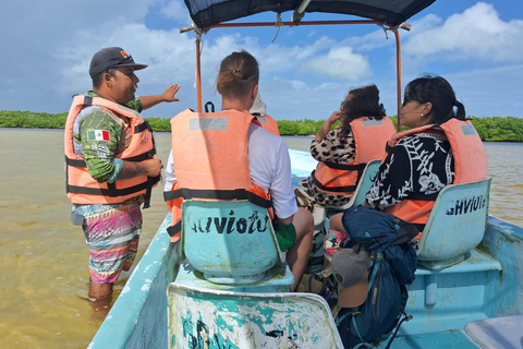 Río Lagartos: Flamingo Safari and Las Coloradas Tour