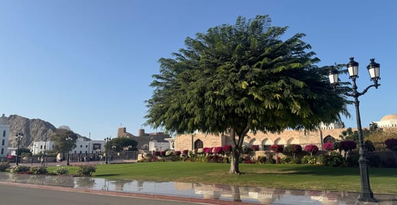 Muscat at Night – Opera, Souq & History in German