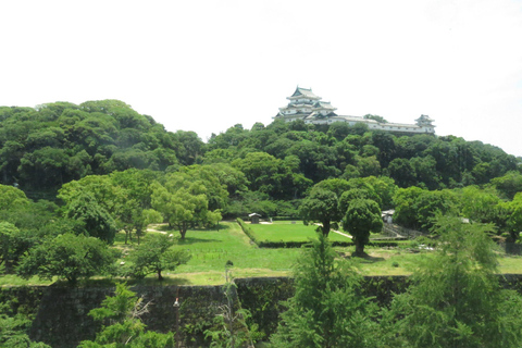 Wakayama: Castle Park Guided Walking Tour with Matcha