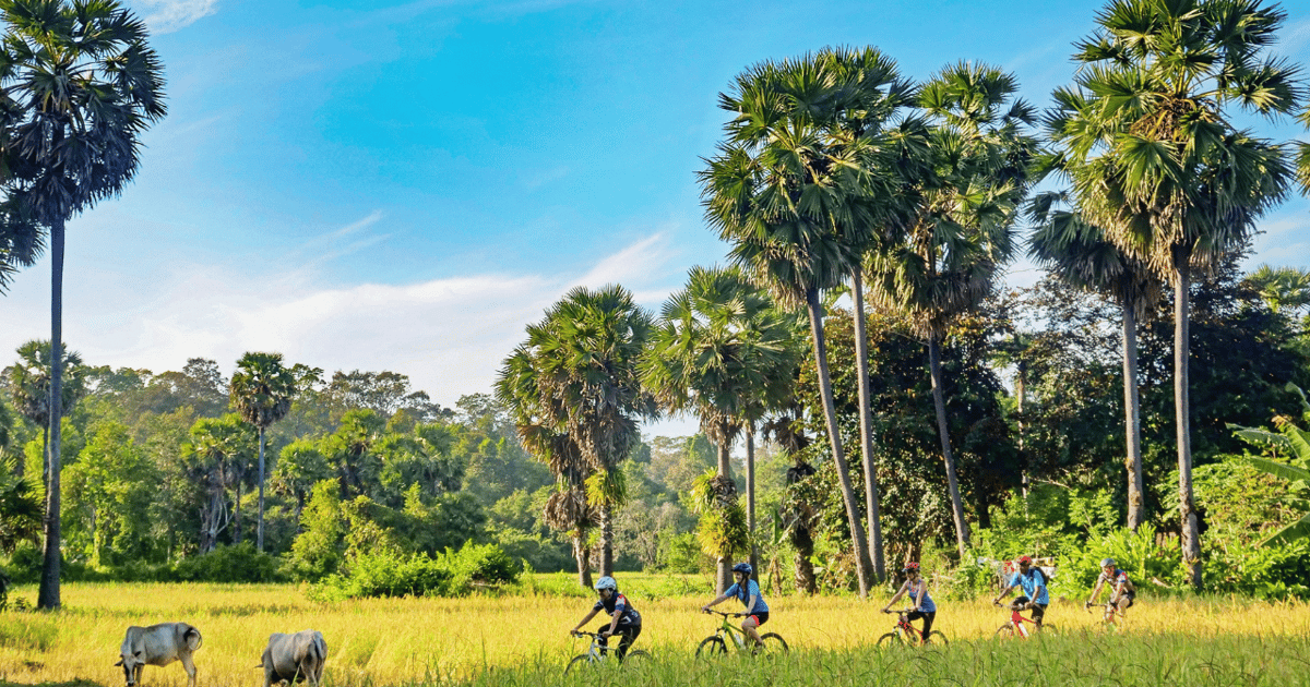 Siem Reap Countryside Bike Tour With Guide And Local Snacks Getyourguide