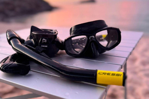 La Paz: Espíritu Santo Sea Lion Snorkel with Starlink Wi-Fi Without Pick Up and Drop Off