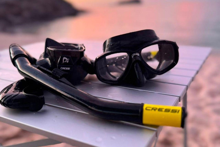 La Paz: Espíritu Santo Sea Lion Snorkel with Starlink Wi-Fi Without Pick Up and Drop Off