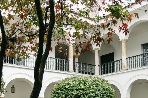 Bogotá: Private Art Tour, MAMBO, Botero, San Felipe District Art & Design Tour with Guide, Tickets & Private Transport