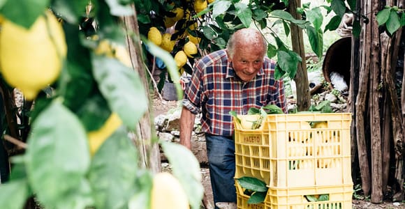 Make your own limoncello and discover the lemons of Amalfi