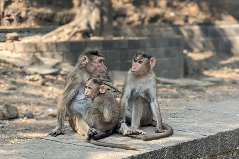 Mumbai: Elephanta Island Heritage Walk with Local Guide Private Tour