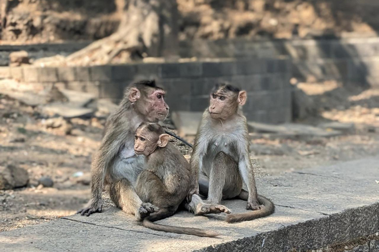 Mumbai: Elephanta Island Heritage Walk with Local Guide Private Tour