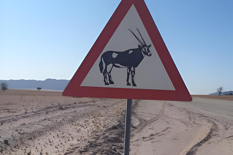 Namib Naukluft Park Trip