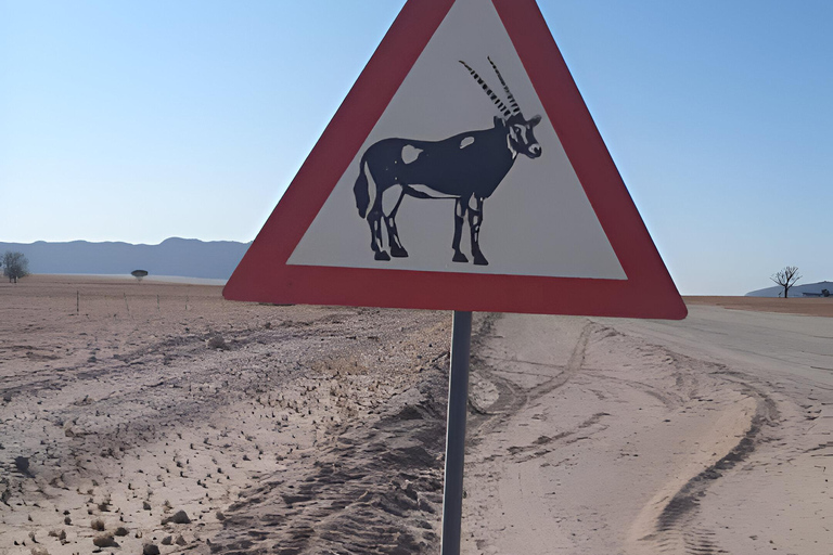 Namib Naukluft Park Trip