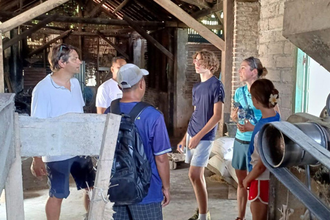 巴厘岛：玛永村徒步之旅