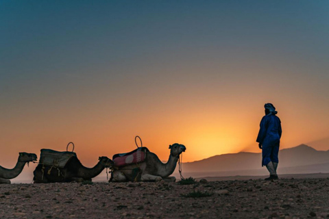 From Marrakesh Agafay Desert Dinner & Sunset, and Camel Ride